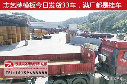 建筑模板行情，志藝木業(yè)